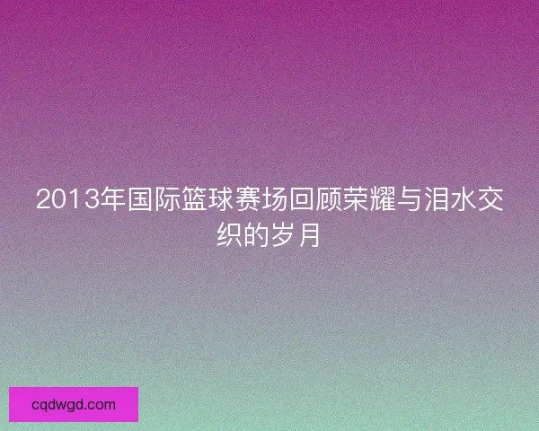 2013年国际篮球赛场回顾荣耀与泪水交织的岁月