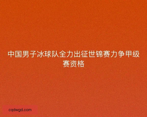 中国男子冰球队全力出征世锦赛力争甲级赛资格