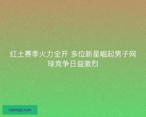 红土赛季火力全开 多位新星崛起男子网球竞争日益激烈