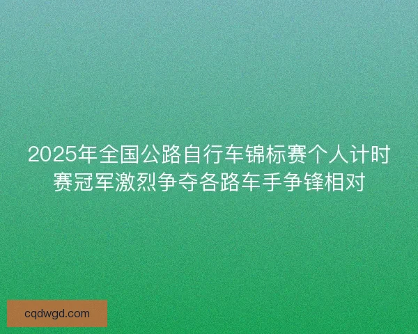 2025年全国公路自行车锦标赛个人计时赛冠军激烈争夺各路车手争锋相对 2025年全国公路自行车锦标赛个人计时赛冠军激烈争夺各路车手争锋相对